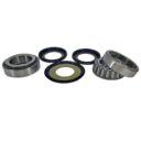 Łożyska główki ramy DIRTY PIG YAMAHA yz/yzf