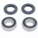 Łożyska koła tylnego DIRTY PIG