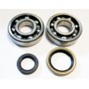 Łożyska wału korbowego SUZUKI rm 250 98-02