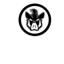 Dźwignia hamulca HONDA crf silver DIRTY PIG