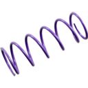 Sprężyna sprzęgła EPI POLARIS 300 2X4