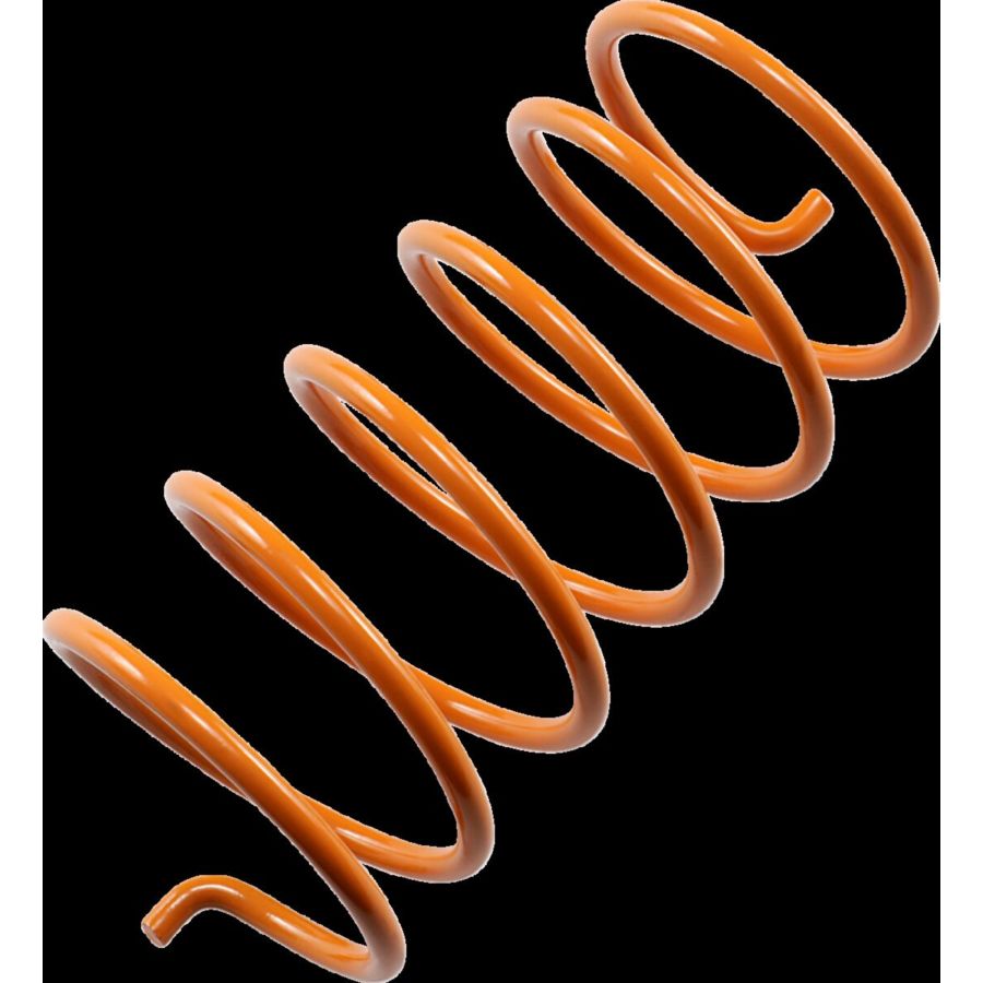 Sprężyna sprzęgła EPI POLARIS 300 2X4