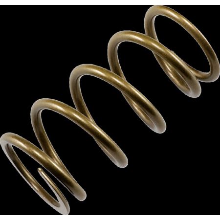 Sprężyna sprzęgła EPI