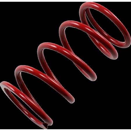 Sprężyna sprzęgła EPI