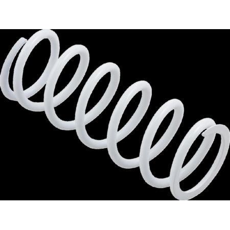 Sprężyna sprzęgła EPI