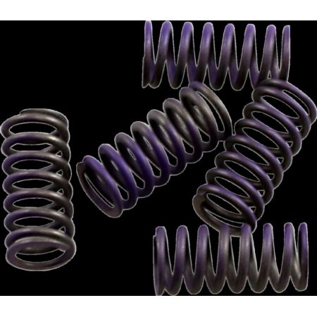 Zestaw sprężyn sprzęgła HINSON YAMAHA WR 250