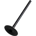 Zawór dolotowy HOT CAMS YAMAHA WR 250