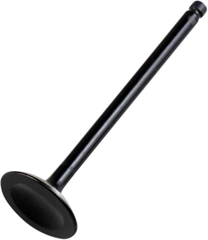 Zawór ssący HOT CAMS POLARIS ATP 500
