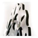Tarcza hamulcowa GALFER WAVE 310 MM TRIUMPH SPEED