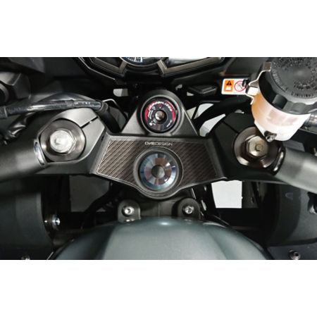 Osłona jarzma ONEDESIGN KAWASAKI Ninja 1000