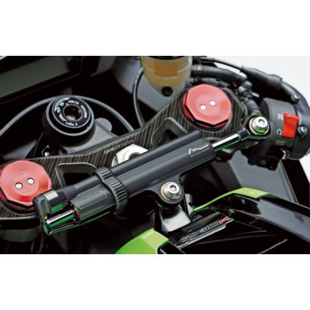 Osłona jarzma ONEDESIGN KAWASAKI ZX-10 R