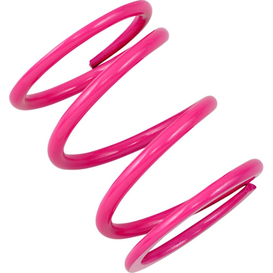 Sprężyna sprzęgła EPI POLARIS 300 2X4