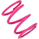 Sprężyna sprzęgła EPI POLARIS 300 2X4