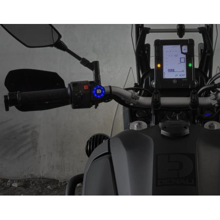 Kontroler oświetlenia DENALI DIALDIM